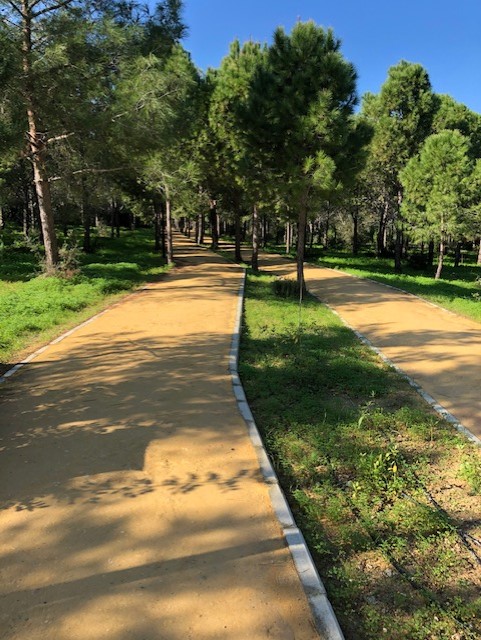 Löparspår, Running track